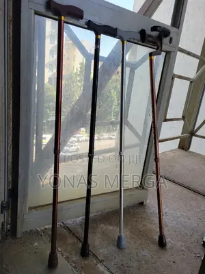 Walking Stick糶፹walking Sticks Can Be Used to Help With Balance