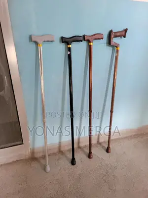 Photo - Walking Sticks and Canes. Firstly, They Are Often Suitable for Elderly