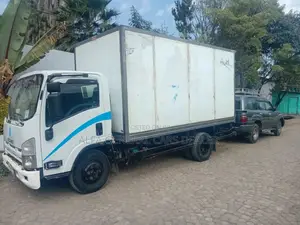 2016 ሞዴል Isuzu ኮንቴነር አሪፍ ይዞታ