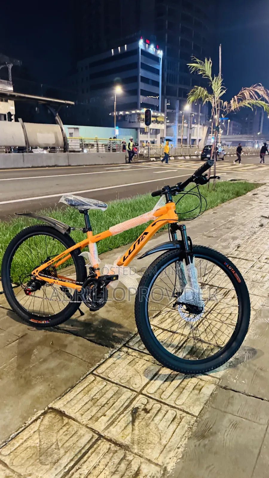 Electric Bicycle水手bicycle口田bicycle手廿bicycle廿手bicycle水田bicycle 手口bicycl
