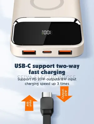 Ldnio Power Bank 10,000 Mah Magnetic Charging