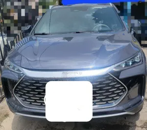 Photo - BYD Tang EV 2025 Gray