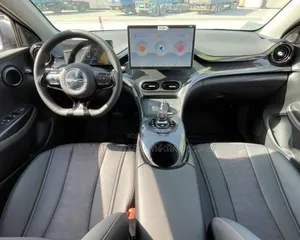 BYD Tang EV 2025 Gray