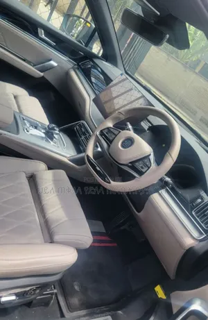 BYD Tang EV 2025 Gray