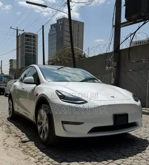 New Tesla Model Y 75D kWh Long Range AWD 2023 White