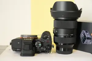 Sony Alpha 7 Iv Mirrorless Camera Ex