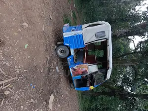 New Raleigh 400cc 2023 Blue