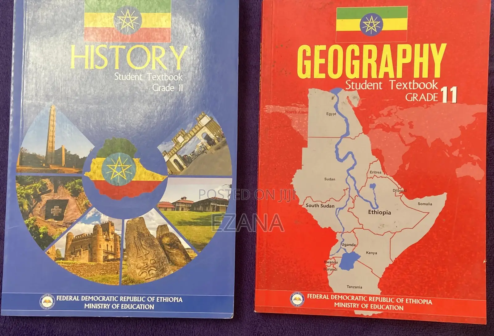 Grade 11 History and Geography New Curriculum Textbooks