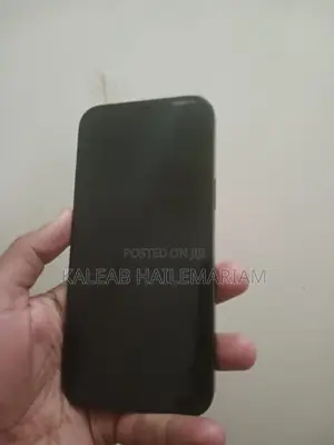 Apple iPhone 12 Pro Max 256 GB Silver