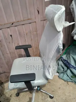 Office Chairs Ergonomic