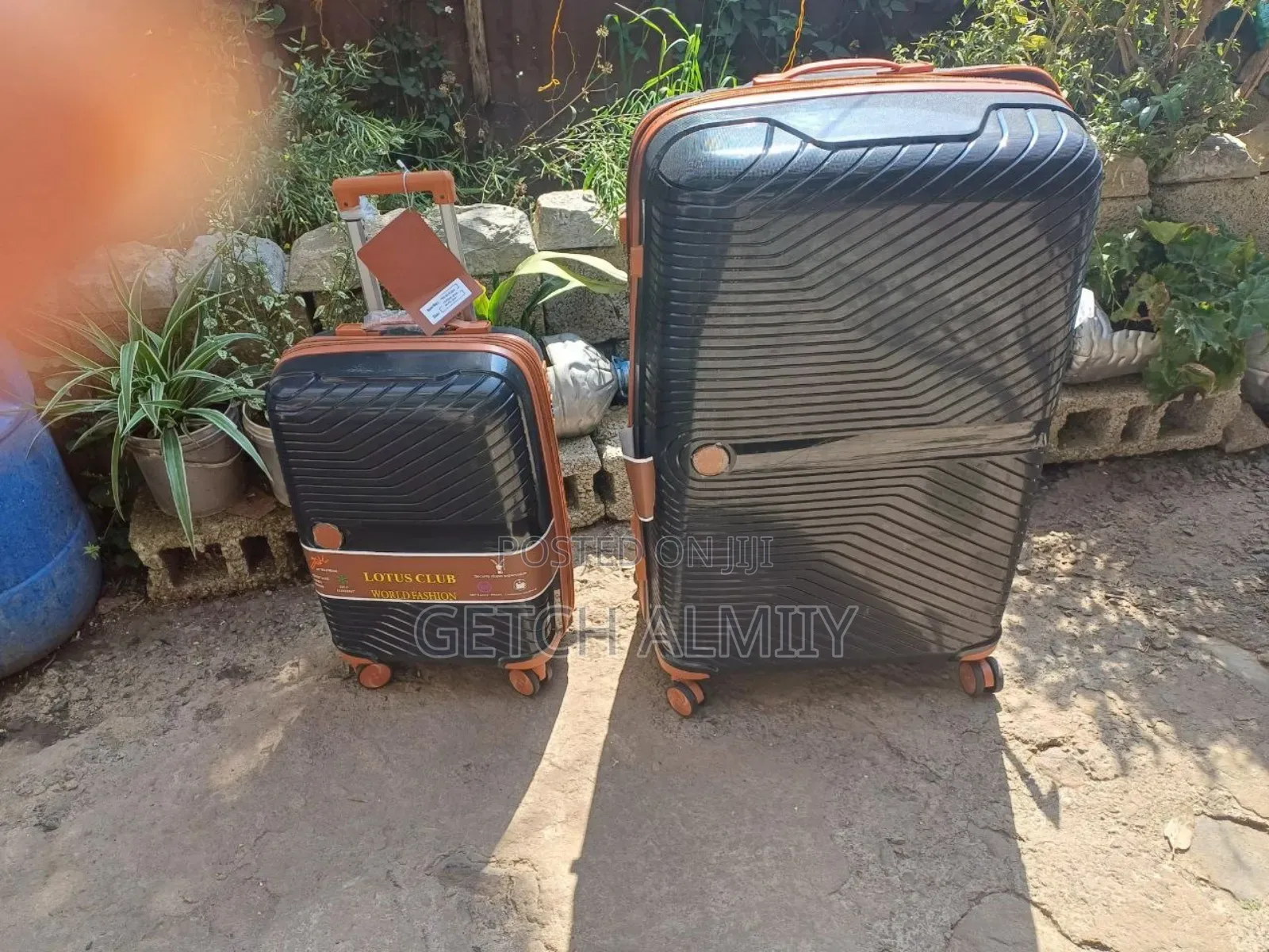 Luggage Bags