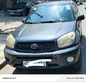 Toyota RAV4 2005 Gray