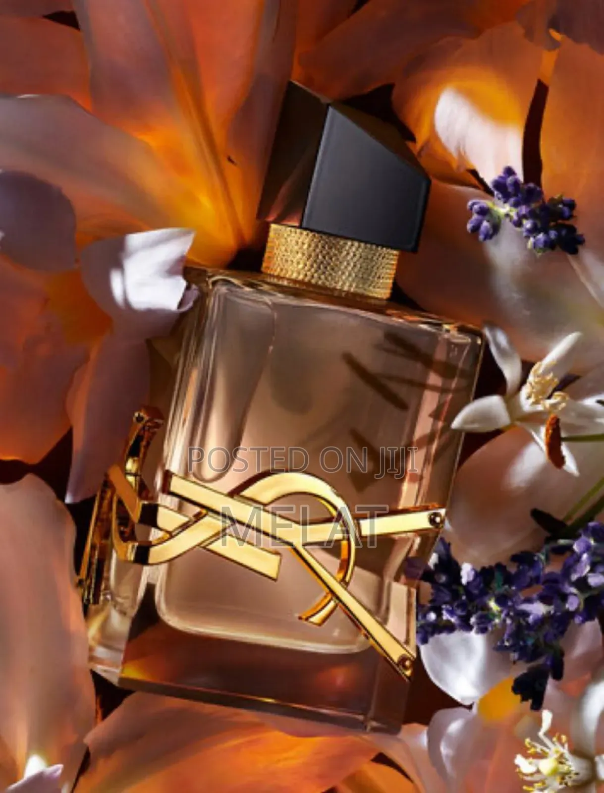 Ysl Libre for Woman