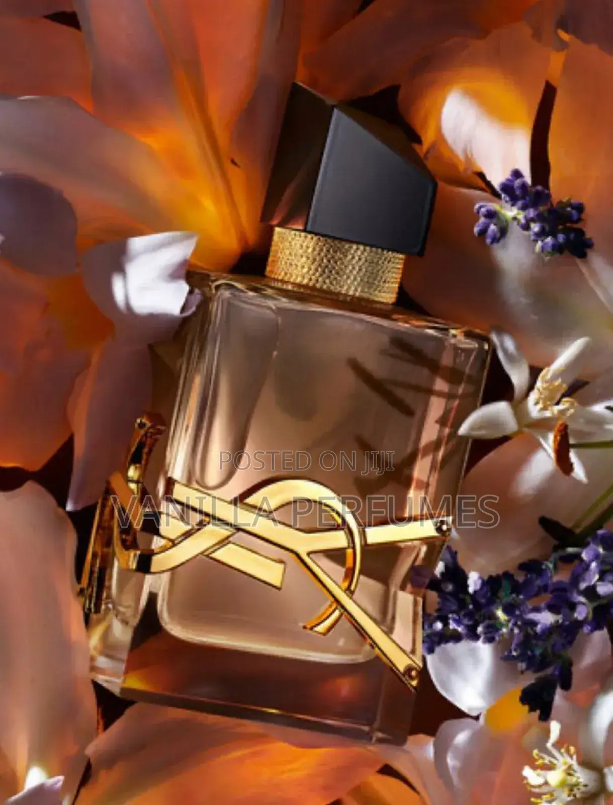 Ysl Libre for Woman