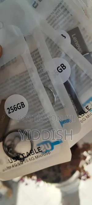 Lenovo 256gb Flash Drive