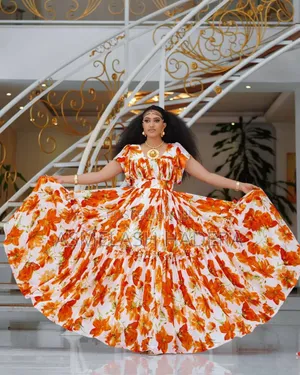 Ladies Chiffon Dress