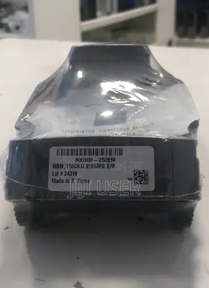 Photo - Zebra Ribbon