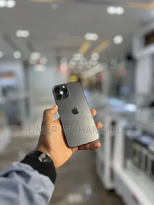 Apple iPhone 13 Pro Max 256 GB