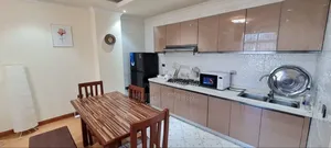 Furnished 1bdrm Apartment in Bole for rent