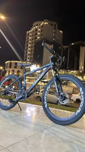 Photo - Electric Bicycle水手bicycle口田bicycle手田bicycle 水手bicycle口手bicycle水田bicycl