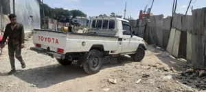 Toyota Land Cruiser 2006 White