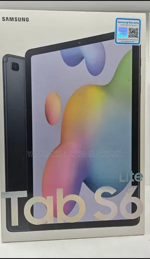 New Samsung Galaxy Tab S6 Lite (2022) 64 GB Silver