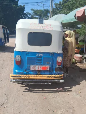 Photo - TVS 2011 Blue