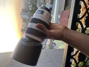 Photo - Zebra Lens 70-300mm