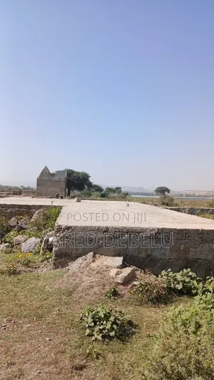 Photo - Mesret Yalkelt Y Astemariwoch Bota