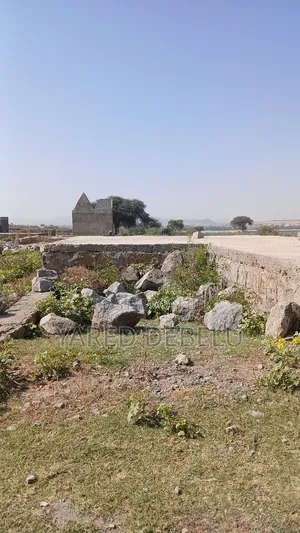 Mesret Yalkelt Y Astemariwoch Bota