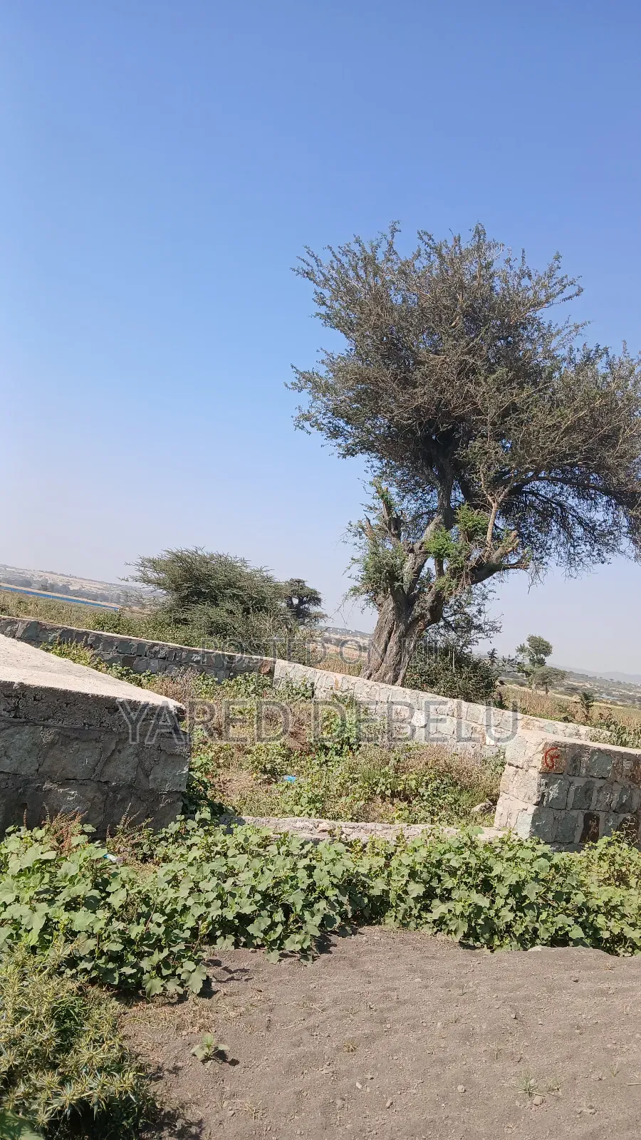 Mesret Yalkelt Y Astemariwoch Bota