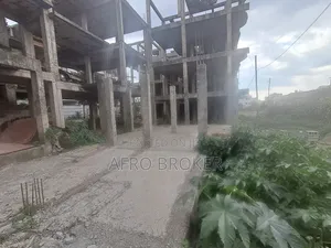 Photo - Basment Sell