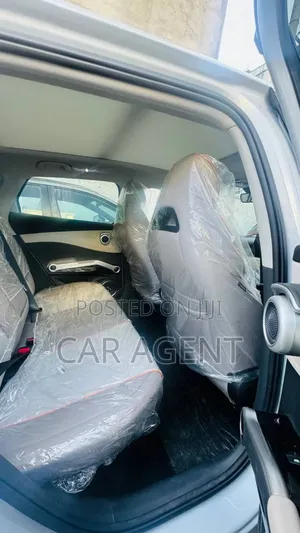 New BYD Yuan Plus 2024 Gray