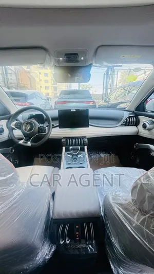 New BYD Yuan Plus 2024 Gray