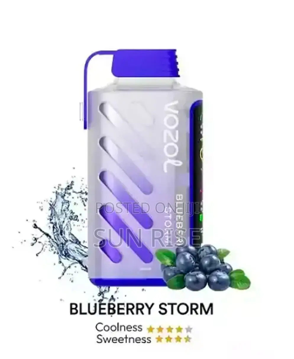 Vozol 20000 Puff Vape Blueberry Storm Flavor