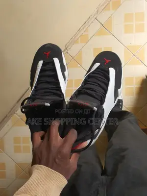 Air Jordan 4 Black and Wihte