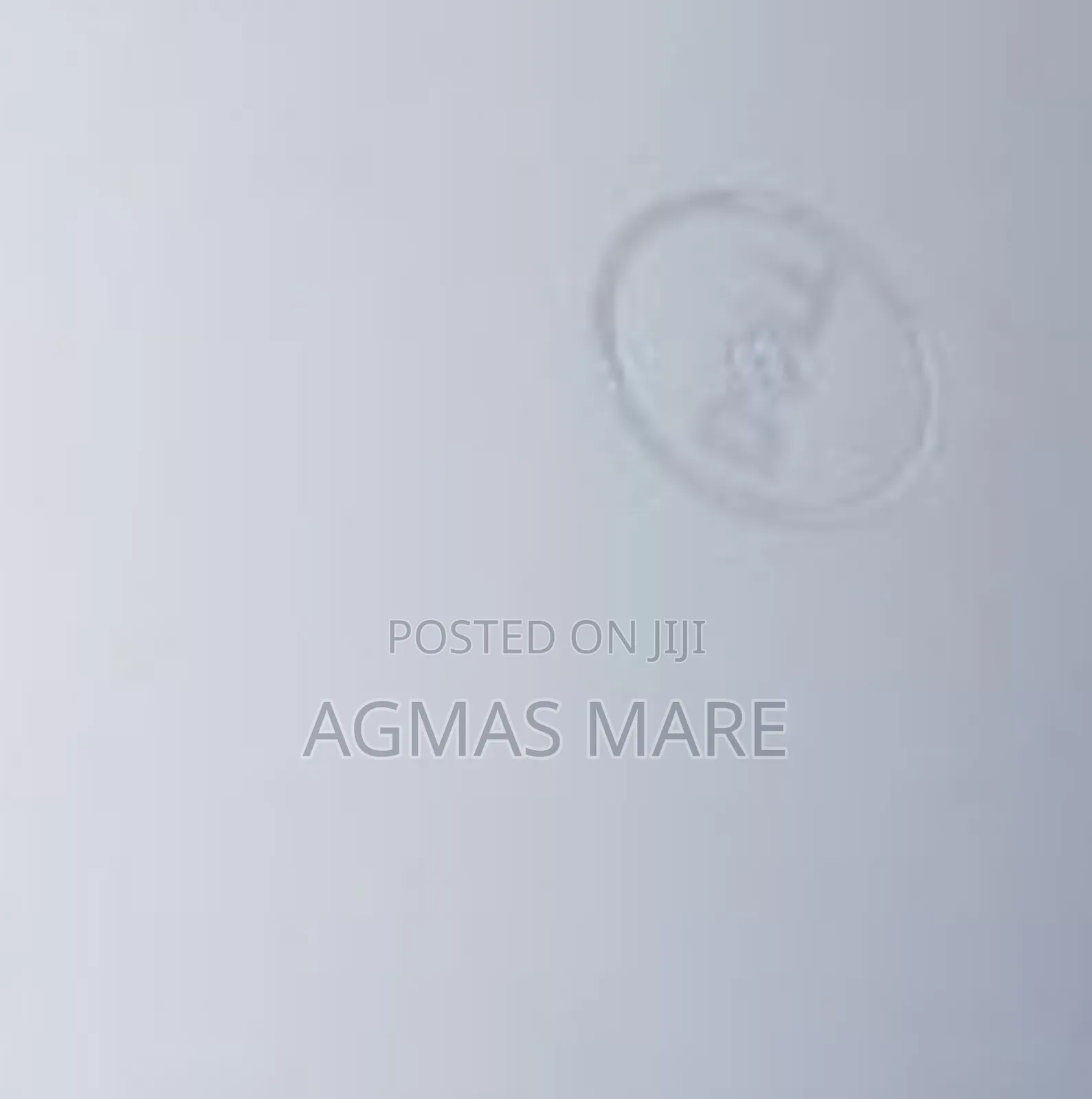 New Laptop Dell Precision 5570 16GB Intel Core I7 SSD 512GB