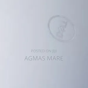 New Laptop Dell Precision 5570 16GB Intel Core I7 SSD 512GB