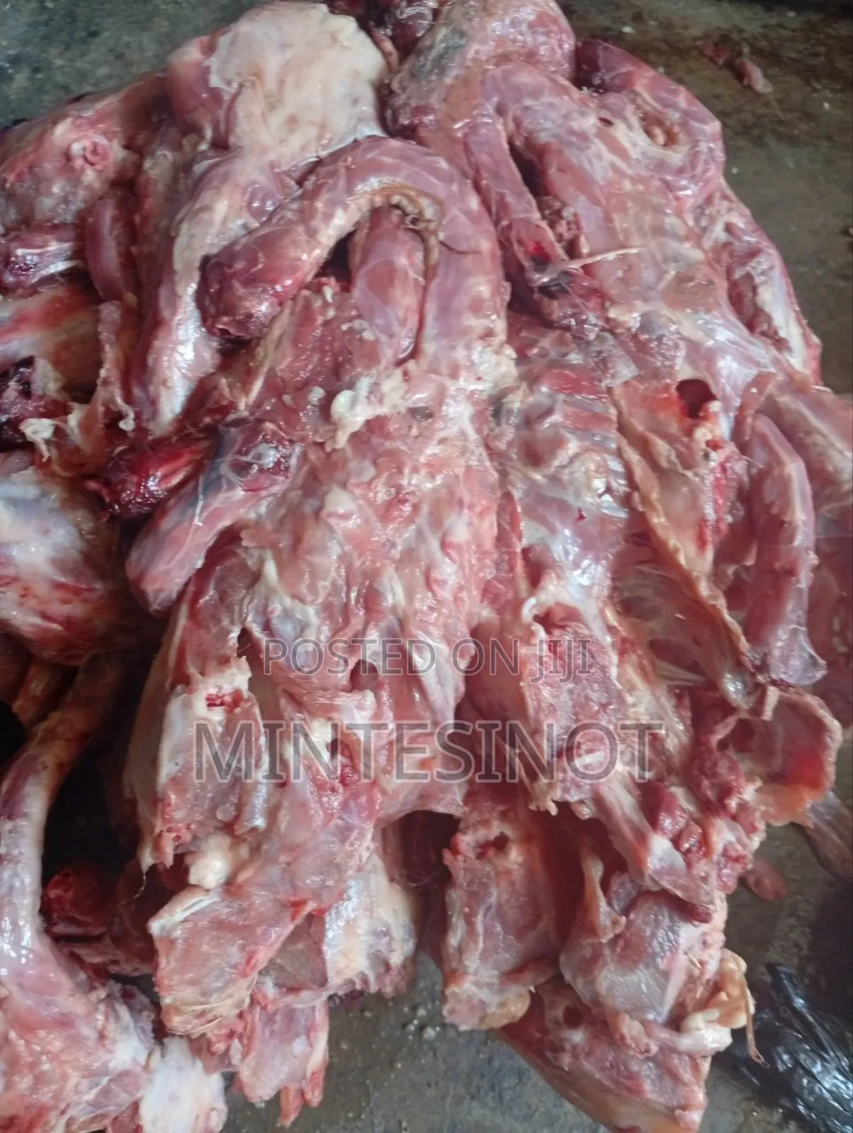 Dog Food Chicken Bone