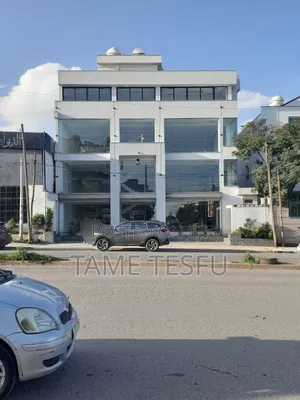 Photo - Furnished 12bdrm House in ፍጋ, Yeka for sale