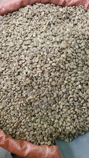 Photo - Green Coffee