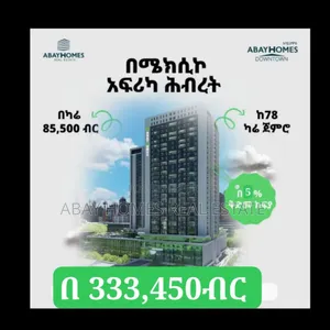 Photo - 1bdrm Apartment in Abay, Lideta for sale