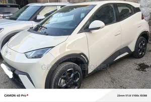 Photo - New BYD Seagull 2025 White