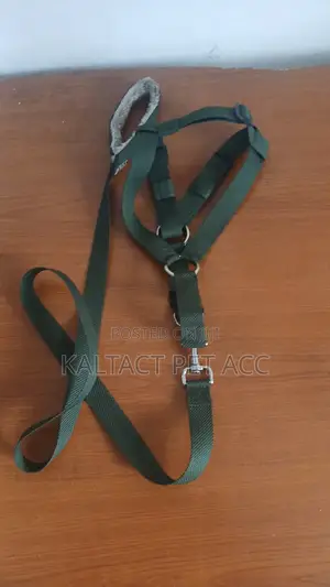 Dog Normal Addjustable Harness