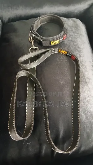 Photo - Dog Collar and Leash Complete