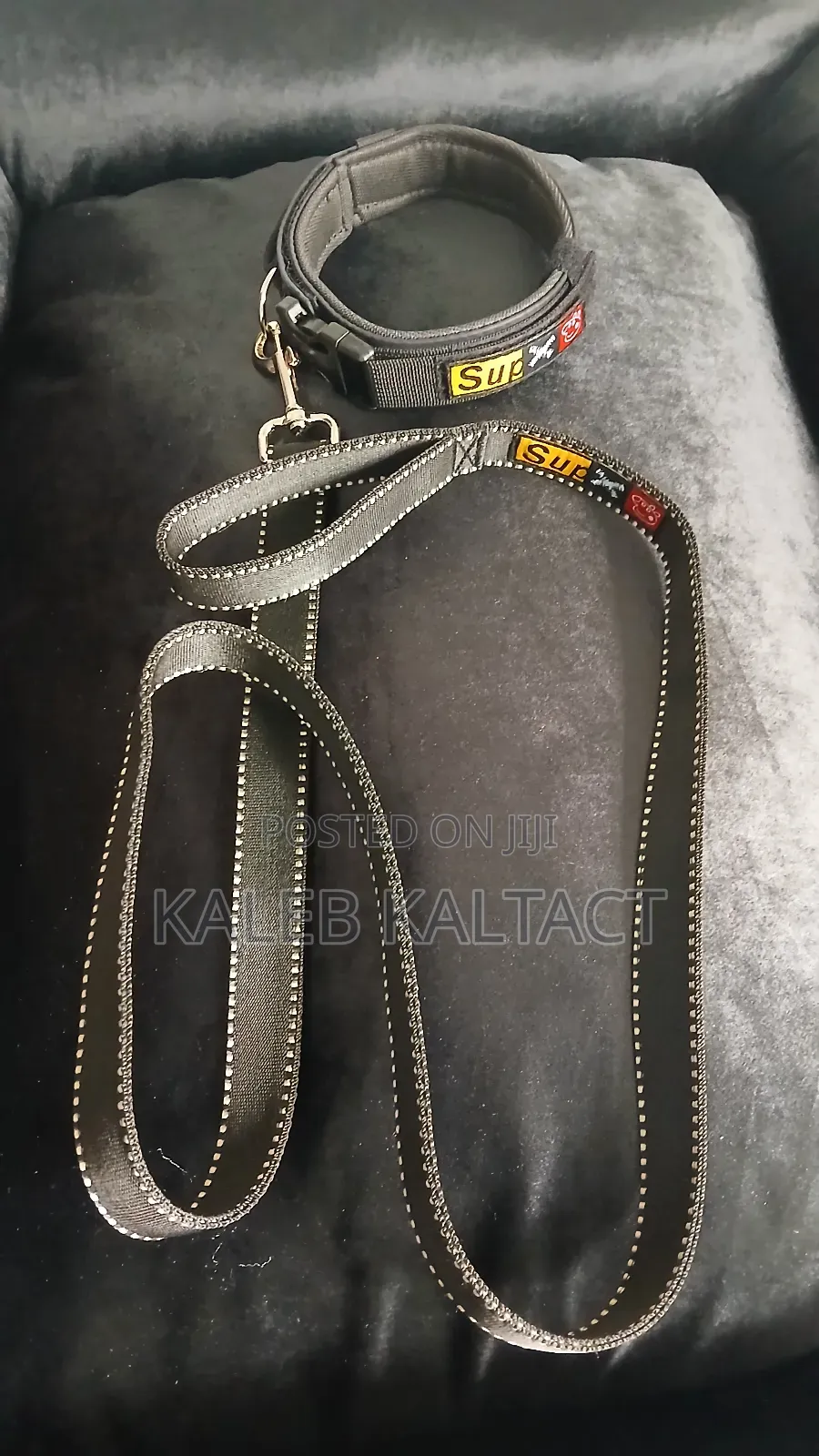 Dog Collar and Leash Complete
