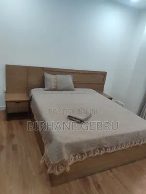 Furnished 3bdrm Apartment in Luxury Fernished, Bole for rent