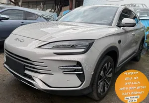 Photo - New BYD Song Plus DM-i 2025 Beige