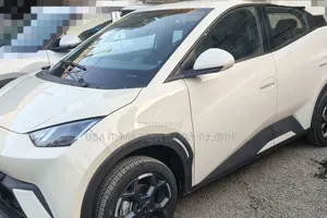 Photo - BYD Seagull 2025 Pink