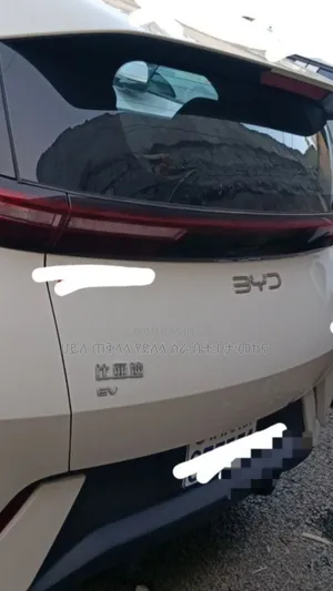 BYD Seagull 2025 Pink